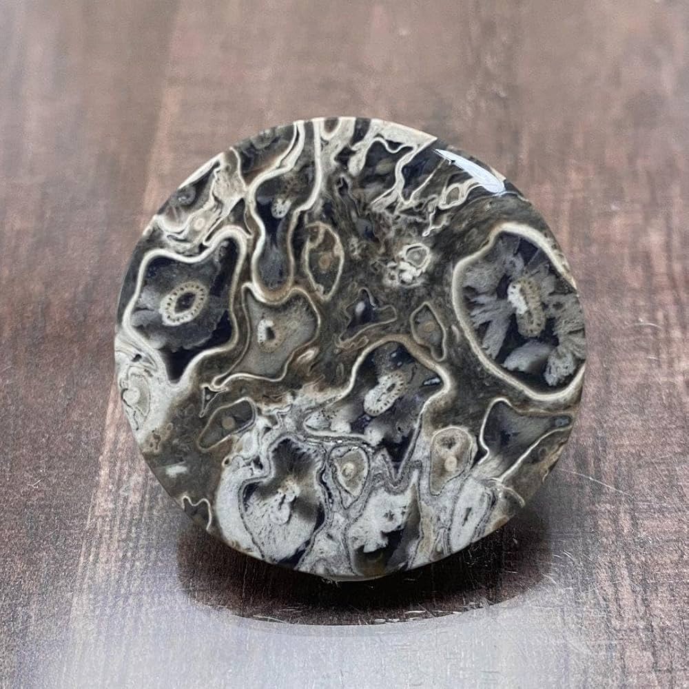 Amazon.co.jp: ペトリファイド パームウッド珪化木 ルース